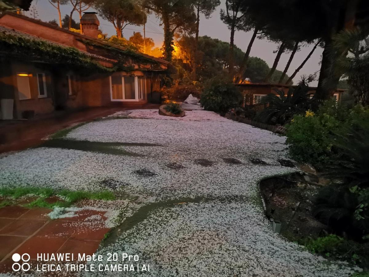 Maresme & Rosa Lodge