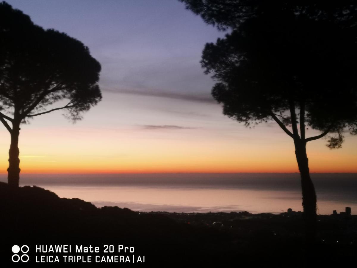 Lodge Maresme & Rosa